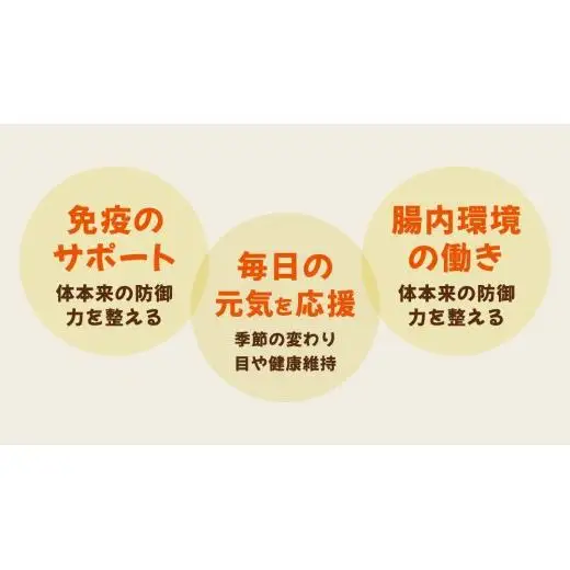 花びらたけ 粉末 3袋 セット（各 50g ） （茨城県共通返礼品：城里町）