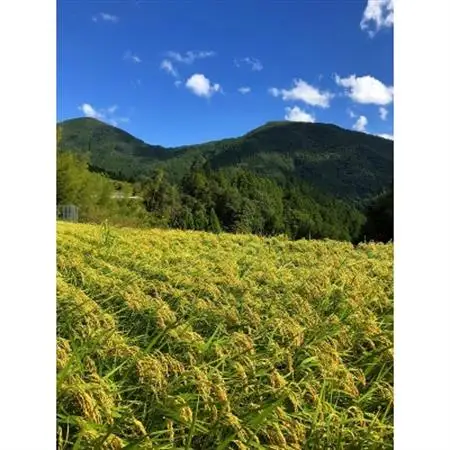 ときがゆったり流れてる「十津川　谷瀬」の地酒!季節限定【生酒】720ml　2本【配送不可地域：離島】【1217842】