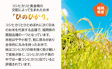 【令和5年度米】福岡県 大木町産のお米 ヒノヒカリ ひのひかり 玄米 真空パック お試し2合 300g 福岡県 大木町 株式会社田中米穀 BC07_gm