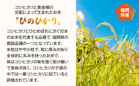 【令和5年度米】福岡県 大木町産のお米 ヒノヒカリ ひのひかり 白米 真空パック お試し2合 300g 福岡県 大木町 株式会社田中米穀 BC07