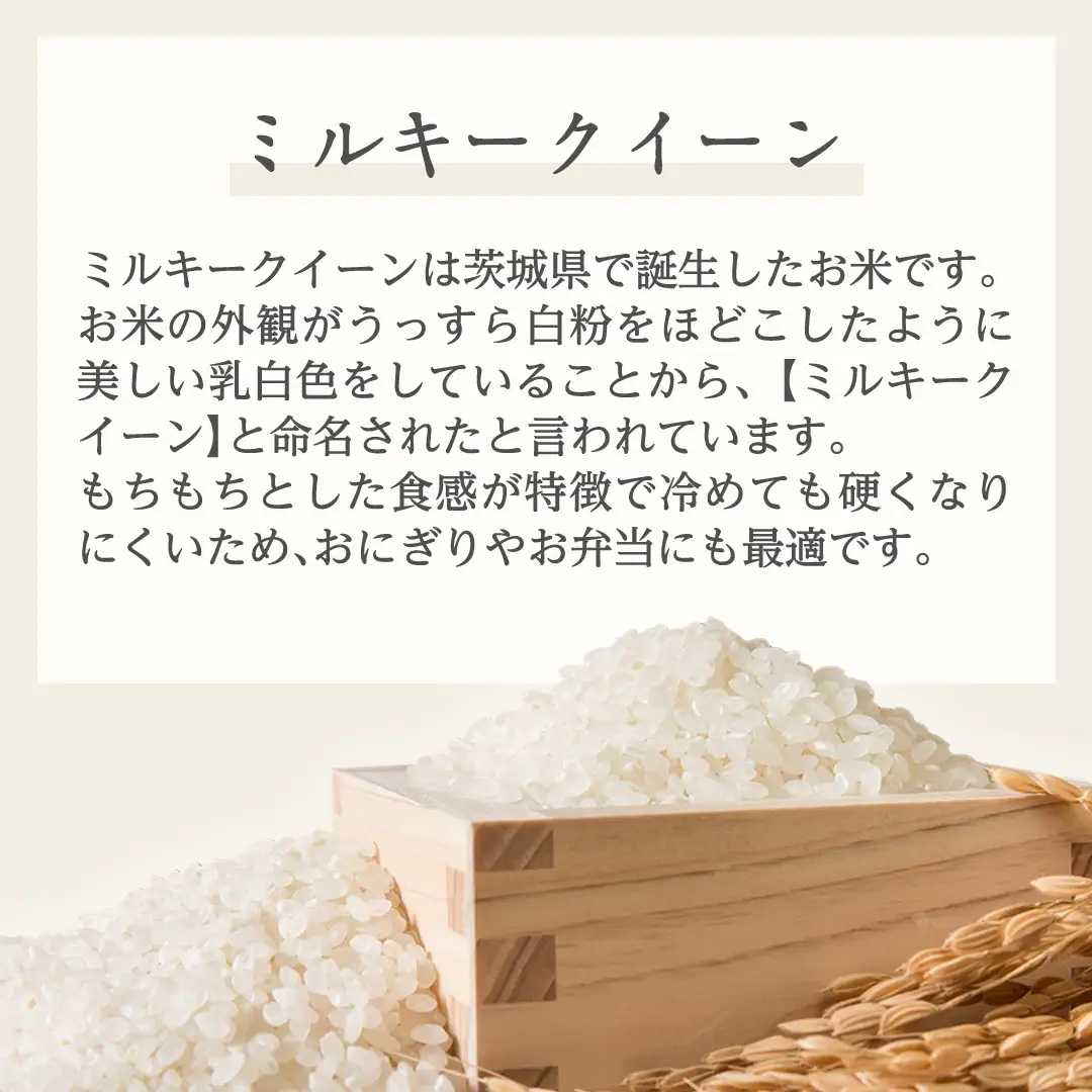 《 令和7年産 》 茨城県産 ミルキークイーン ( 5kg × 1袋 ) 期間限定 米 コメ こめ 五ツ星 高品質 白米 精米 時短 単一米