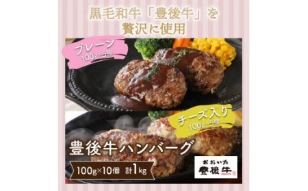 豊後牛ハンバーグ1kg(プレーン,チーズ入り) _1202R