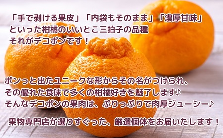 デコポン 柑橘 みかん 濃厚 デコポン【約3kg】【先行予約】