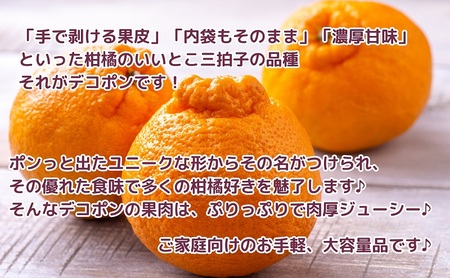 【2027年3月中旬より順次発送】ご家庭用！「デコポン」約5kg フルーツ  果物類 みかん 柑橘類 