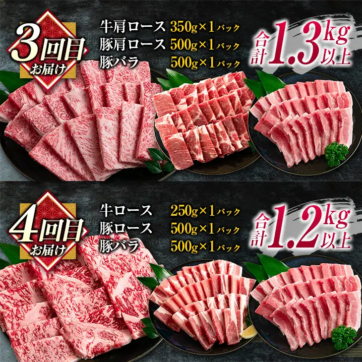数量限定 6か月 お楽しみ 定期便 宮崎牛 豚肉 焼肉 セット 総重量8kg以上_N8-25