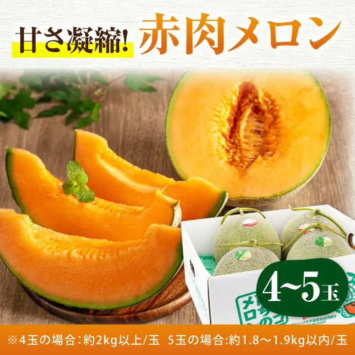 赤肉メロン 4-5玉 [AJAH019] メロン
