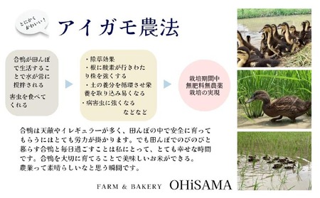 令和7年産　イセヒカリ　10kg（5kg×2）　玄米〈栽培期間中農薬不使用　あいがも農法米〉