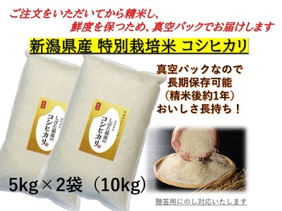 令和5年産 新潟県産コシヒカリ 5kg×2袋 しばた最高のコシヒカリ 新発田おいしいお米コンテスト入賞米 【 真空 長期保存 備蓄 真空パック 新潟 新潟県 米 5kg 2袋 10kg 入賞米 コシヒカリ 最高 コンテスト 新発田産 D77 】