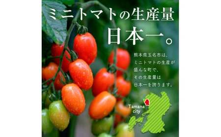 【定期3回】『大家ファーム』のミニトマト アイコ 1.2kg×3回 | ミニトマト トマト  野菜 定期便 定期  熊本県 玉名市