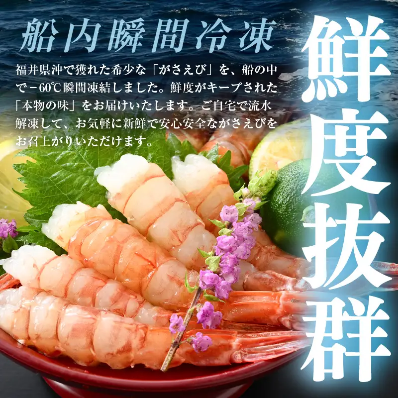 【発泡箱入り】がさえび 約600g エビ 冷凍 [A-23114]