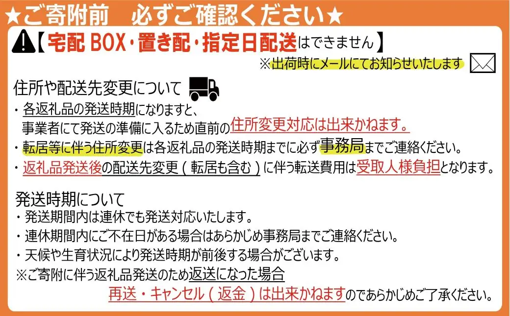 ＜2026年発送分先行予約＞山梨県南アルプス市産 あんぽ柿（百目柿） 大玉12個 化粧箱入り ALPAH004