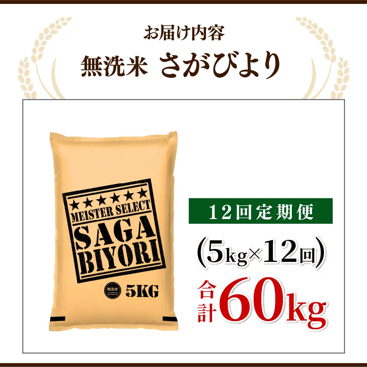 [令和7年産] ＜定期便12回＞  さがびより 無洗米 5kg×12回