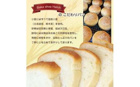 天然酵母 パン こだわりセット