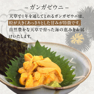 S002-024_殻出し生うに（ガンガゼウニ）50g×2本 うに用醤油付 生うに ミョウバン 不使用 天然 濃厚 新鮮 無塩 高評価 ガンガゼウニ ウニ 瓶詰 海鮮 軍艦巻き うに丼 うにパスタ お取り寄せ お取り寄せグルメ 熊本県 天草市 送料無料