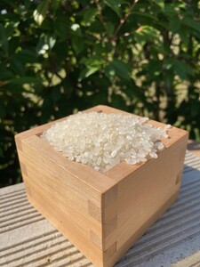 有機JAS認証【玄米】 さがびより 5kg 162-B717