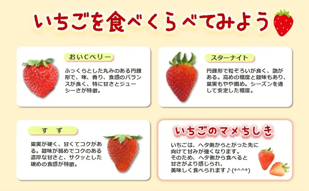 《2027年産先行予約》「西脇市産いちご食べくらべセット」令和９年１月上旬配送分（1箱4パック）【いちご畑macca】「ひょうご推奨ブランド」認証