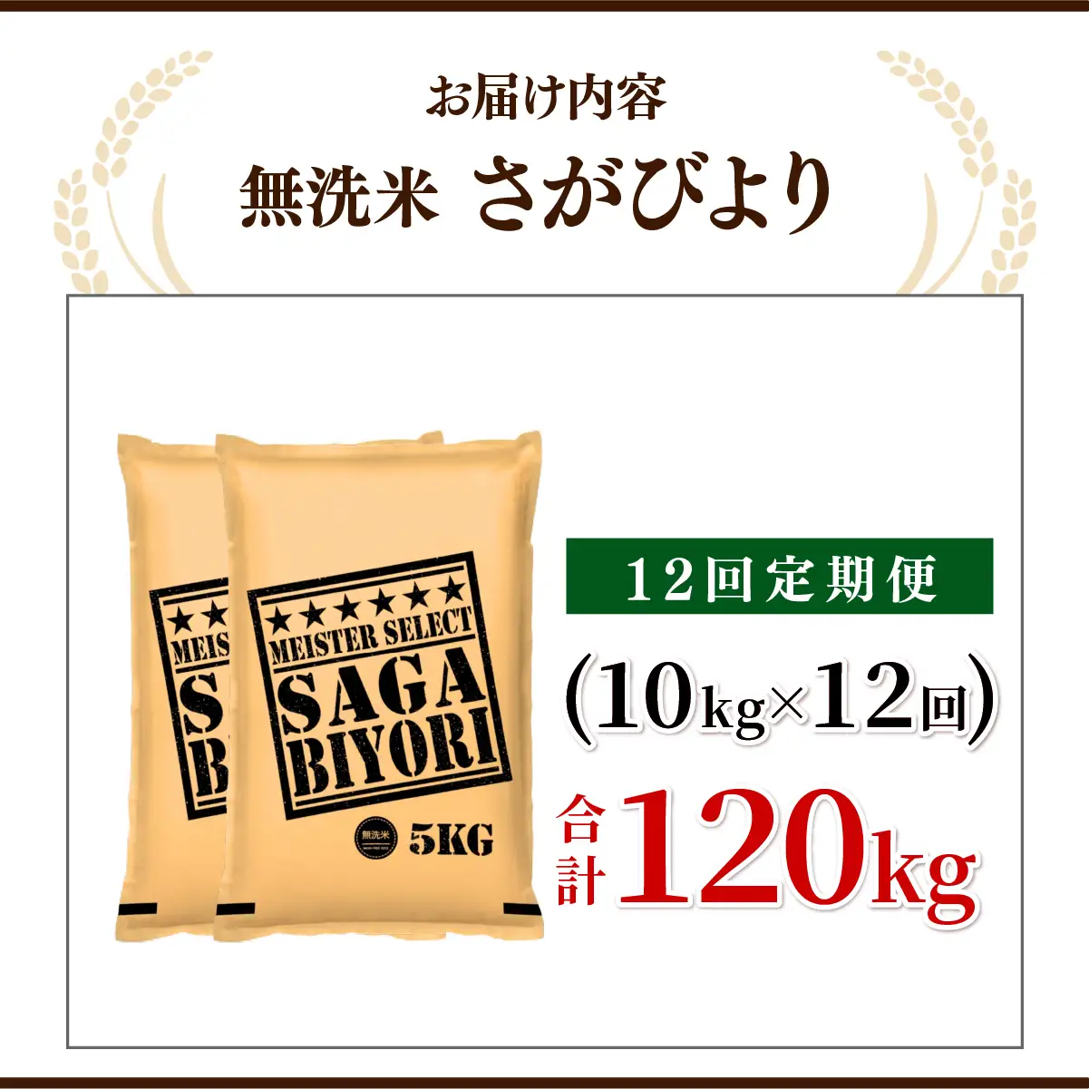 [令和7年産] ＜定期便12回＞  さがびより 無洗米 10kg×12回