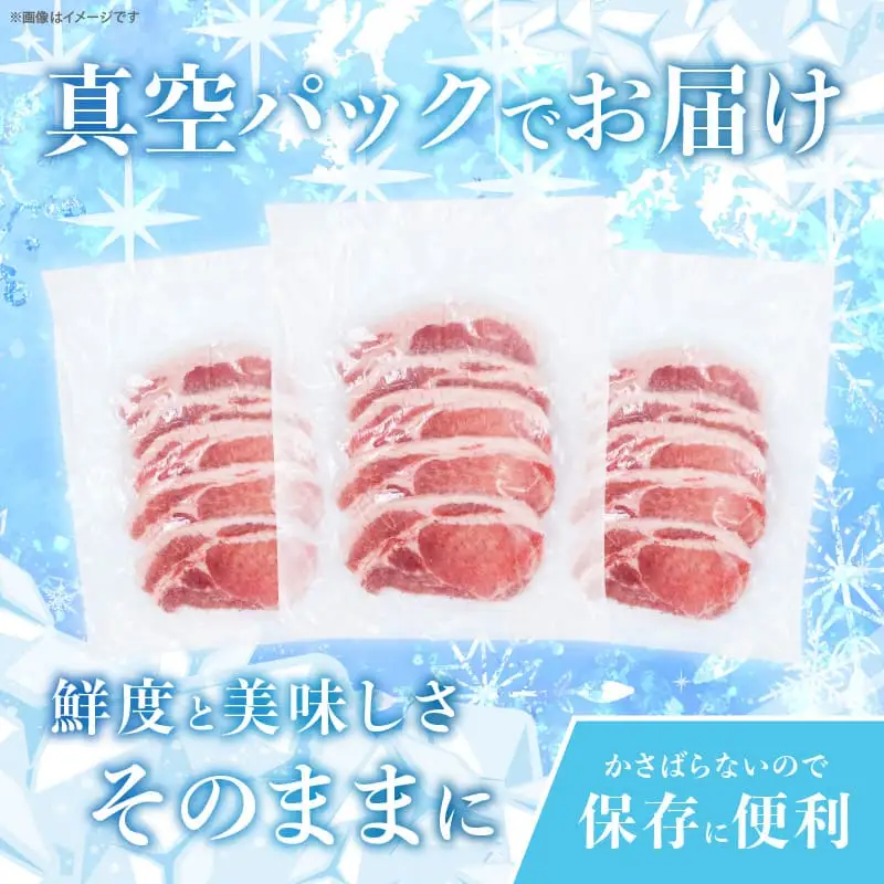≪宮崎ブランドポーク≫ロース(トンテキ・とんかつ用)計1kg 肉 豚 豚肉 国産_T023-0115