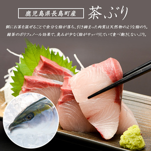 どん薩摩の黄金だし『茶ぶり＆黒豚』しゃぶしゃぶセット(2～3人前)【株式会社Never Land】never-7265