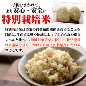 isa538 【定期便】令和6年産 特別栽培米 永池ひのひかり玄米(計30kg・10kg×3ヶ月)鹿児島 永池 お米 米 玄米 伊佐米 九州米サミット 食味コンテスト 最優秀賞受賞 ヒノヒカリ【エコファーム永池】