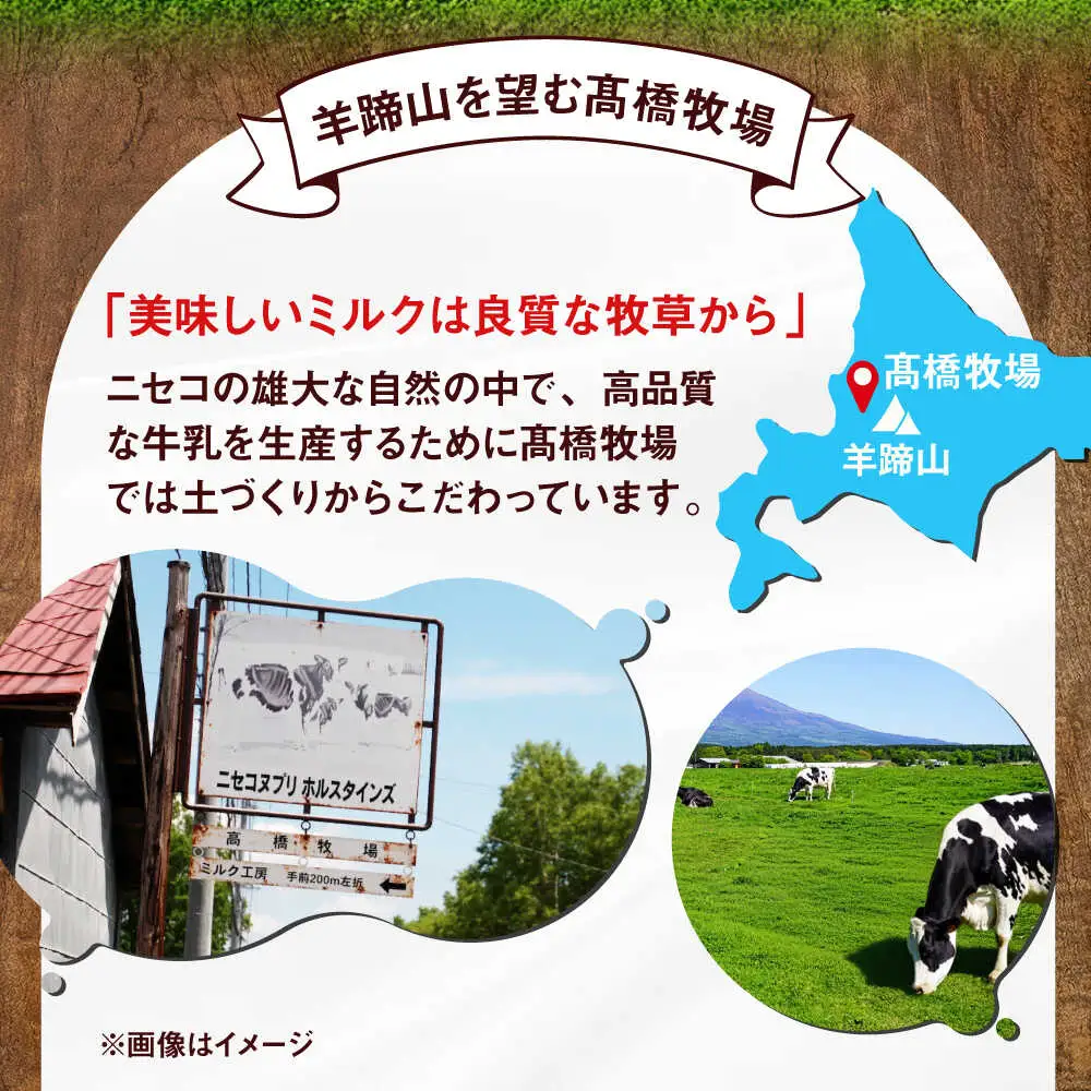 ミルク工房 カップ アイス セット 10個 [AJAI011] アイス 夏