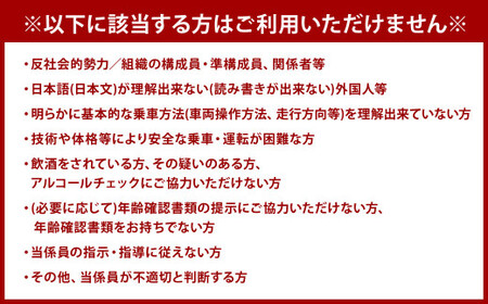 レンタルゴーカート 利用クーポン 10,000円分（1,000円×10枚）