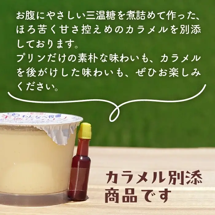 【テレビで紹介されました】手造りプリン6個セット／冷蔵 ネッカ牛乳 ネッカ卵 蒸しプリン ソース別 牧場 スイーツ おいしい ご褒美 おやつ 牧場 搾りたて グルメ お土産 自宅用 ギフト 贈り物 人気 テレビ TV 紹介 話題 島根県 安来市【06-WB-19】