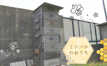 【福岡県築上町産】上村さん家の はちみつ 「 築上町の 和蜜 」300g【上村 忍】 日本 蜜蜂 にほん みつばち [ABBX001]