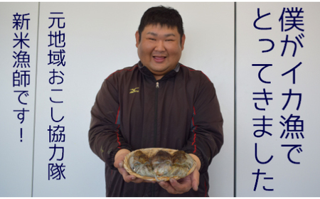 【先行予約】【2027年3月下旬以降順次発送】豊前海産「 コウイカ 」約1kg (3-5杯) [ABCB001] イカ いか 刺身 烏賊 