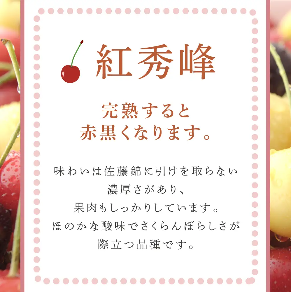 さくらんぼ 1kg (500g×2パック) 北海道 紅秀峰