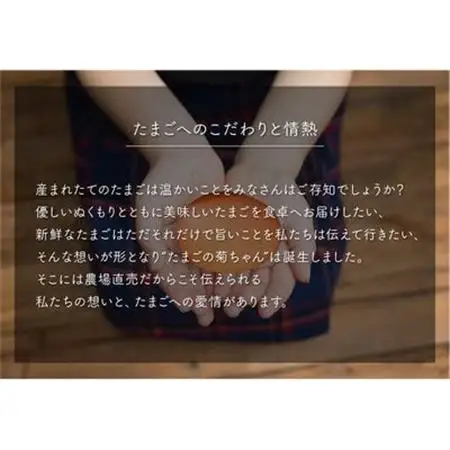 菊ちゃんのたまご5kg箱【配送不可地域：離島】【1185768】