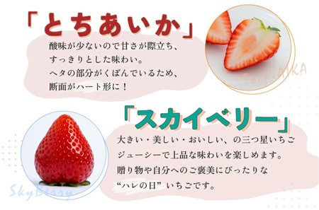 【先行予約】スカイベリー 2箱 1.16kg（1箱(2パック入)×2） いちご アフター対応あり いちご