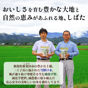 定期便 4kg×12ヵ月 特別栽培米コシヒカリ 新潟県 新潟産 新発田産 米 コシヒカリ 特別栽培米 しばもん 2kg 4kg 48kg 12ヵ月 定期便 D30_04