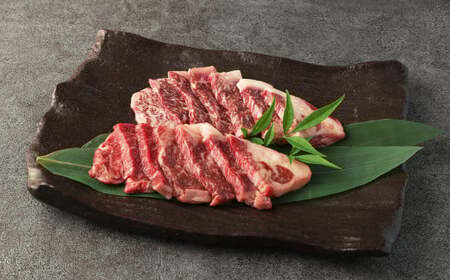阿蘇あか牛 サーロイン 約500g