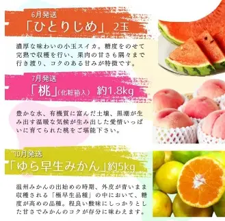 【全6回定期便】旬のフルーツ定期便 【田村みかん / 紀州デコ(不知火) / 清見オレンジ / 小玉スイカ / 桃 / ゆら早生みかん】 ～和歌山の旬をお届け～ / みかん ミカン 温州みかん 有田みかん 不知火 デコポン 桃 もも モモ 柑橘 フルーツ 果物 くだもの 旬 人気 甘い 定期便  6回 全6回 6か月【uot050-syun6】