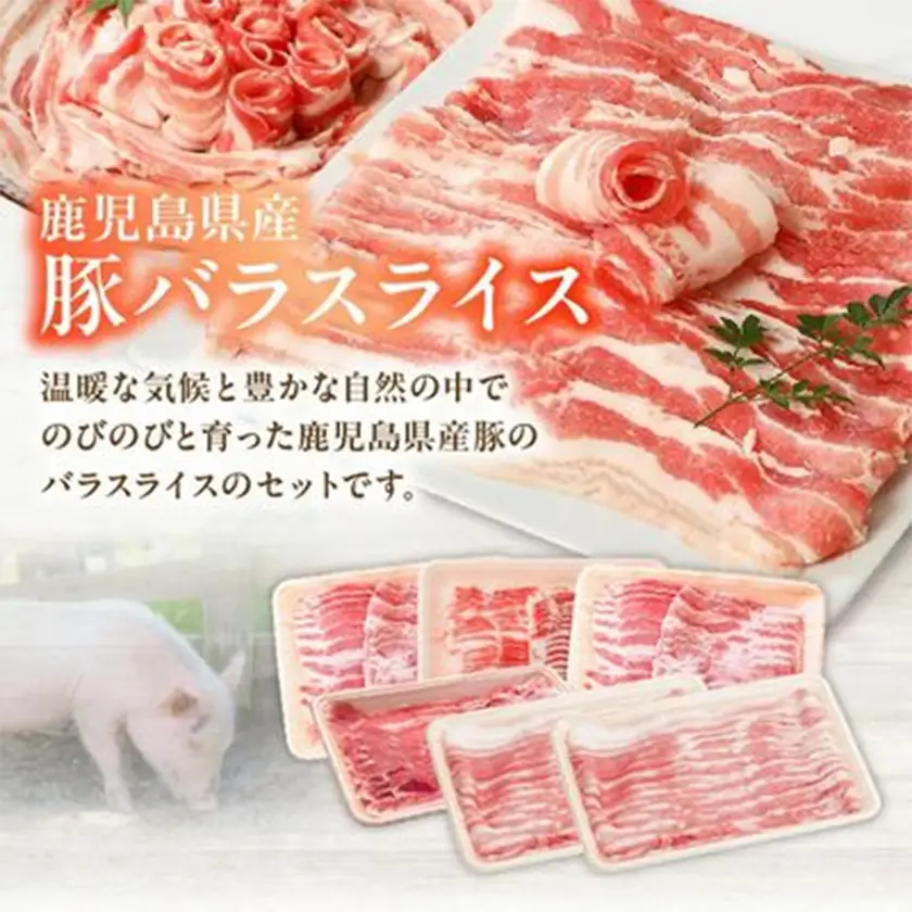 鹿児島産豚バラスライス1.5kg　南九州【配送不可地域：離島】【1185857】