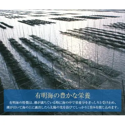 Z26-36 【訳あり】有明海産 焼き海苔 2切8枚×13袋 訳あり