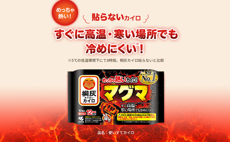 【ふるさと納税】桐灰カイロ 詰め合わせセット ( ナイトミン耳ほぐタイム×１ / マグマ×1 / じんわり温かいおなか用カイロ×1 / くつ下用貼るカイロ×1 /) ギフト お祝い 贈答品 中元 歳暮 数量限定 送料無料 兵庫県 三田市