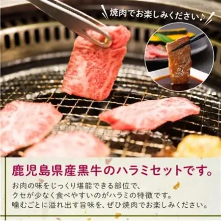 鹿児島県産黒毛和牛ハラミ300g【配送不可地域：離島】【1185809】