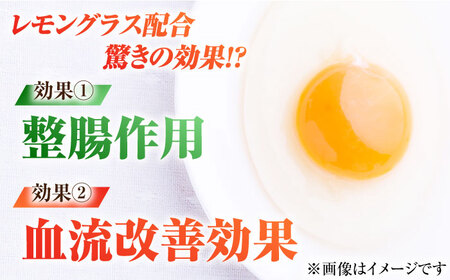 【箱入り】五島の恵みたまご Lサイズ 150個入 / 卵 赤玉子 五島市 / 五島列島大石養鶏場 [PFQ007]  玉子 タマゴ 鶏卵 希少 五島列島