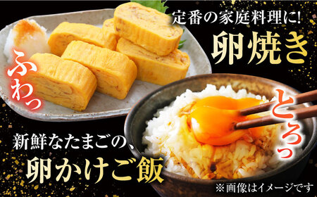 【ギフトBOX】平飼たまご ファイブエッグ M-Lサイズ 20個入 / 5EGG 卵 赤玉子五島市 / 五島列島大石養鶏場 [PFQ008]  玉子 タマゴ 鶏卵 希少 五島列島