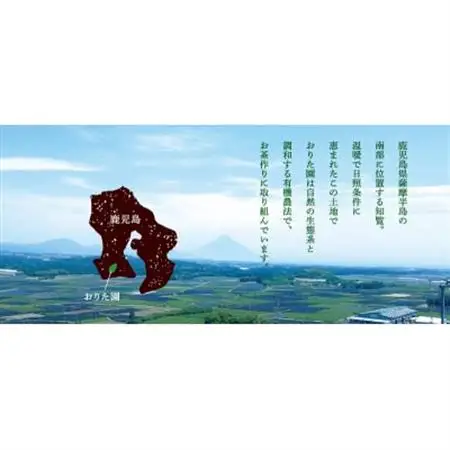 おりた園特上深蒸し茶3本セット【1185755】