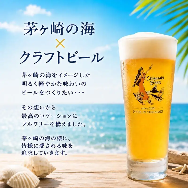 クラフトビール 茅ヶ崎ビール Dragon Ale 瓶入り クラフトビール【12本セット】