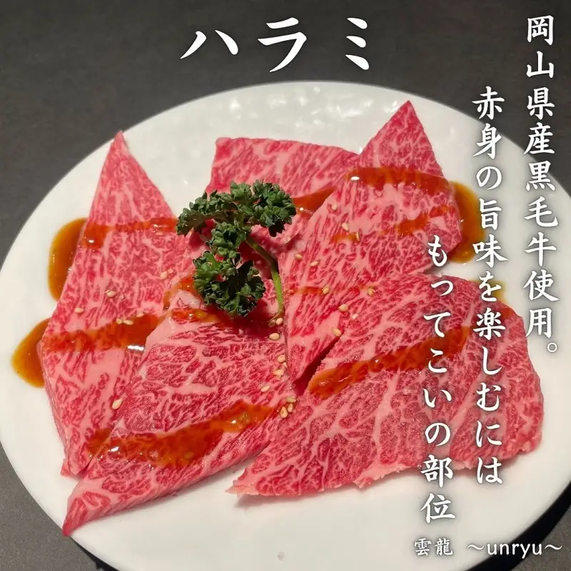 黒毛和牛 焼肉 セット 合計約930g カルビ ハラミ 牛セセリ 雲龍焼肉たれ付 岡山県産 黒毛和牛