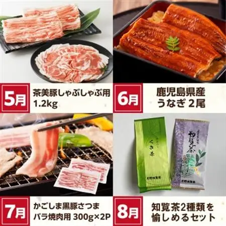 【発送月固定定期便】南九州まんぞく定期便2全12回【配送不可地域：離島】【4014695】