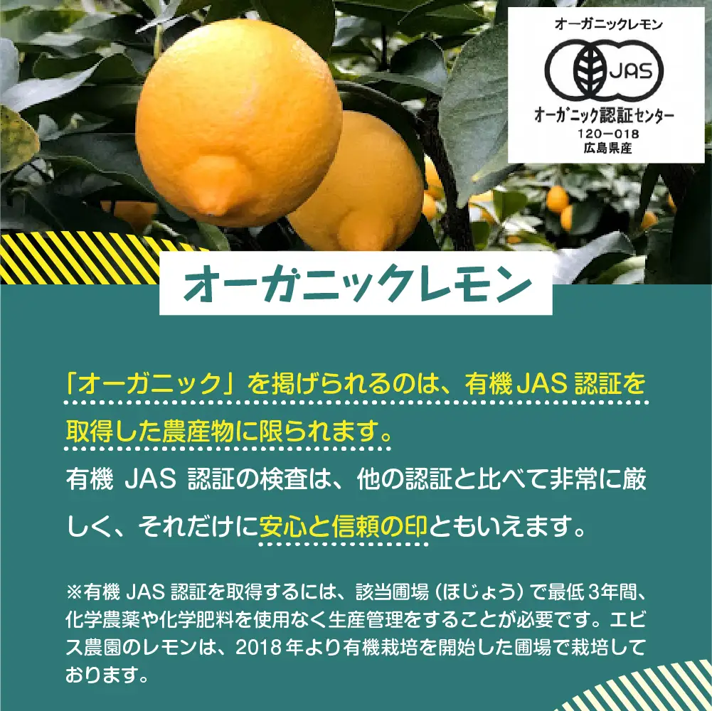 【先行受付】【2026年11月上旬～発送】【訳あり】希少な国産オーガニックレモン2.0kg【栽培期間中農薬不使用】ku026-004-26