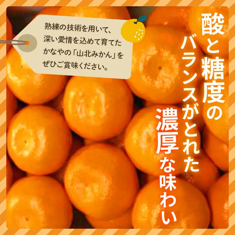 【先行予約】山北みかん 約5kg みかん be-0109