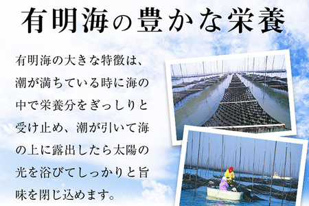 焼き海苔 訳あり 2切8枚×13袋 計104枚 有明海苔