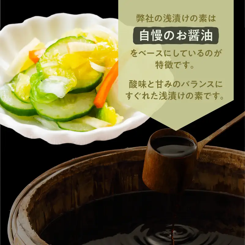 【5営業日以内に発送】ヒシク 藤安醸造 浅漬けの素 つけやったもんせ 500ml×6本 セット K026-013 調味料 スピード配送 最短 すぐ届く お急ぎ
