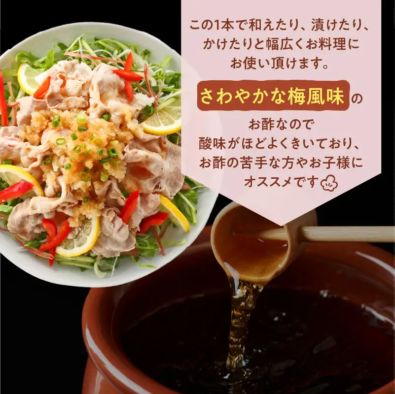 【5営業日以内に発送】ヒシク 藤安醸造 万能酢 500ml×6本 セット K026-015 調味料 スピード配送 最短 すぐ届く お急ぎ
